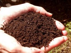 Почва — основа всего