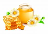 Мед. Лечебные свойства меда