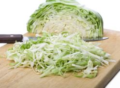 Что можно приготовить из капусты? Рецепты из капусты