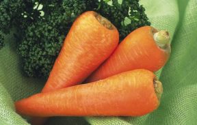 Что можно приготовить из моркови