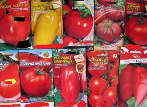 Как подготовить семена помидоров к посадке на рассаду