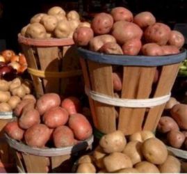 Хранение картофеля и других овощей