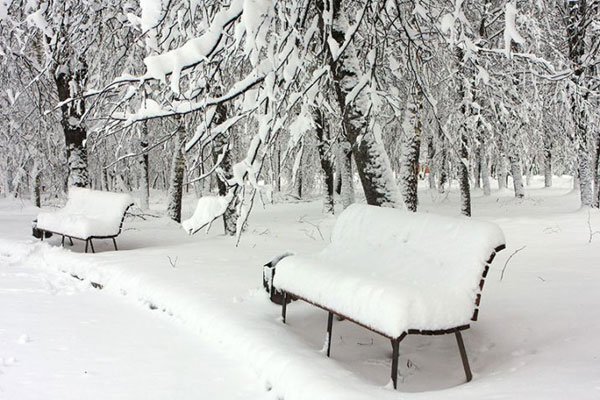 Парки Фото Зима