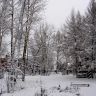 Парк в снегу. Зимняя природа