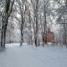 Зима в городском парке. Фото