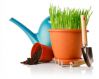 Дачные и садовые работы в апреле. Полезные советы и рекомендации опытного садовода