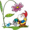 Как ухаживать за комнатными растениями и цветами в апреле