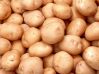 Как получить отличный урожай картофеля