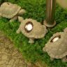 садовые светильники-черепашки
